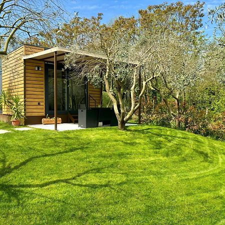 Seregner Agricamping & Homes - Adults Only 18 Monzambano Ngoại thất bức ảnh